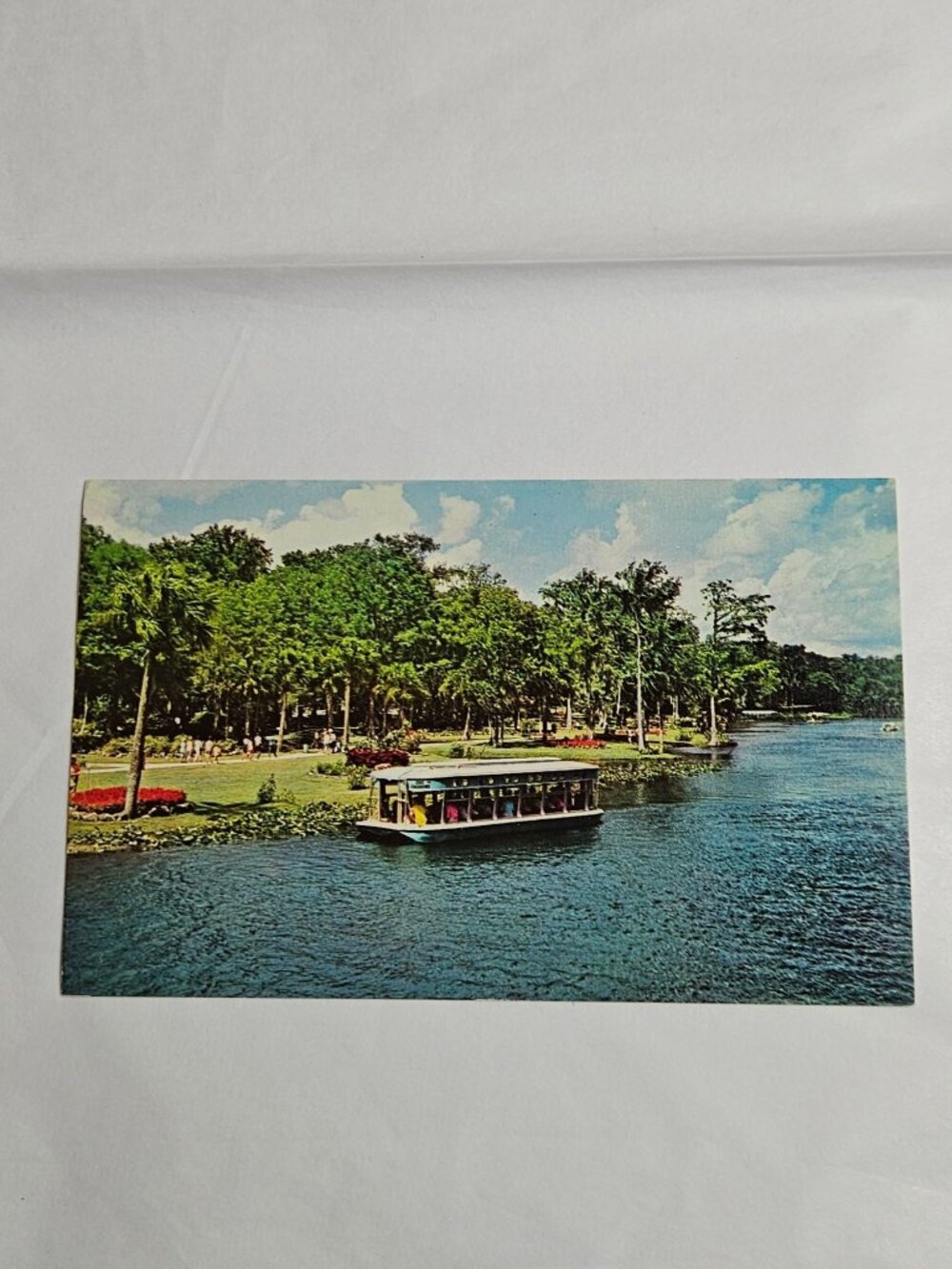 Glass Bottom Boat Silver River at Florida's Silver Springs Postcard